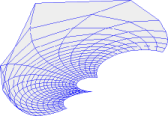 Conchoid